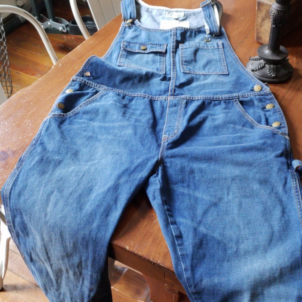 Current/Elliott  carpenter overall